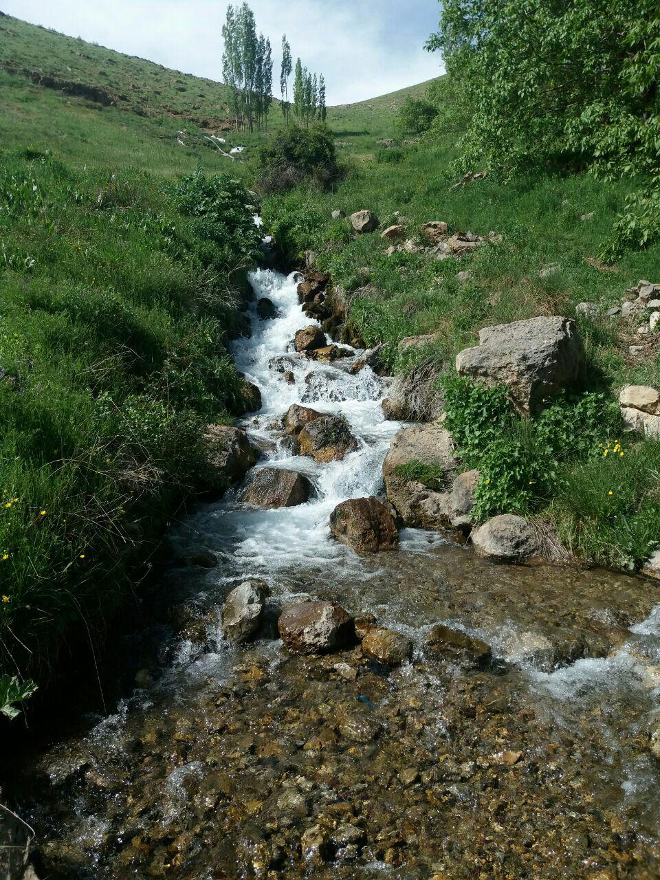 ونایی